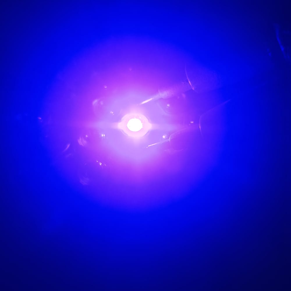 3W Royal Blue 440nm 470nm Grow LED COB SMD Lamp Blub DIY 10W 20W 30W 50W 100W Grow Light For 1 3 5 W Watt Light Beads