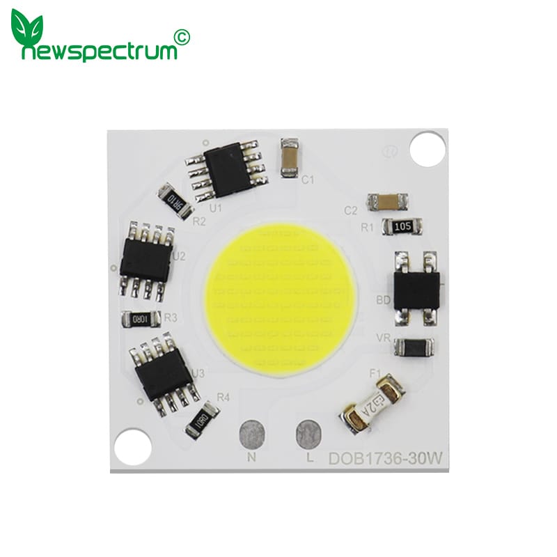 Full Power 30W LED COB Chip AC 220V DOB Smart IC No Need Driver Bulb Lamp Beads for Flood Light Spotlight Downlight DIY Lighting