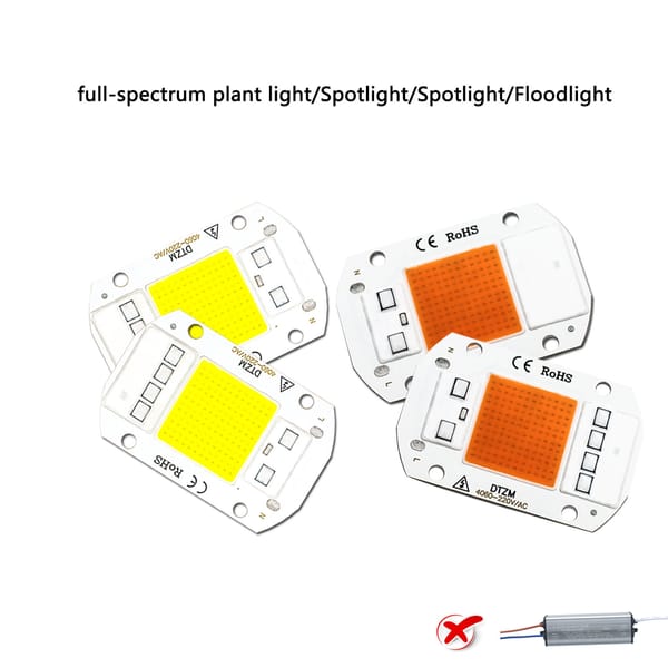 220V LED Chip10W 20W 30W 50W No Need Driver LED Lamp Beads For Flood Light Spotlight DIY  Lighting Plant Growth Light Cold White